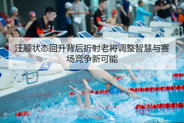 汪顺状态回升背后折射老将调整智慧与赛场竞争新可能